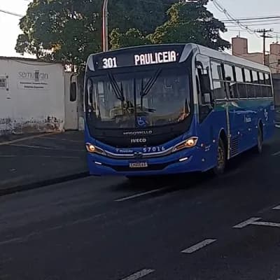 Rápido Sumaré | Pira Mobilidade 57016