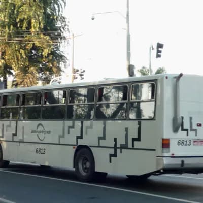 Viação Piracema de Transportes Ltda 6813
