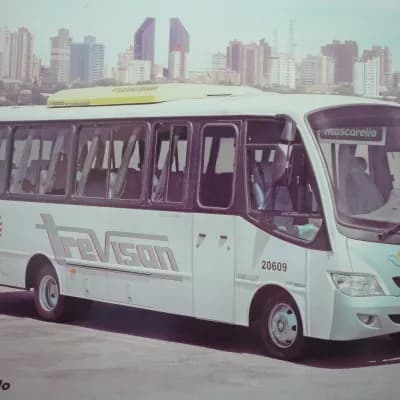 Viação Trevisan e Logística 20609