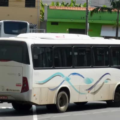 Viação Piracema de Transportes Ltda 114873
