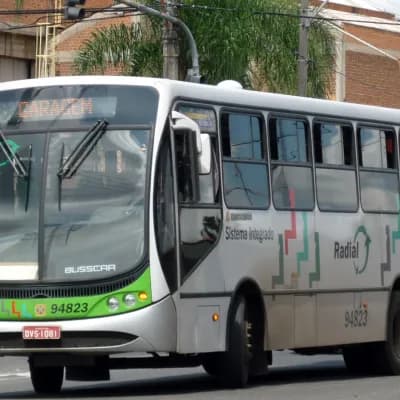 Viação Piracema de Transportes Ltda 94823