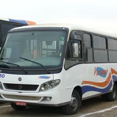 Vicampe Transportes e Turismo 230
