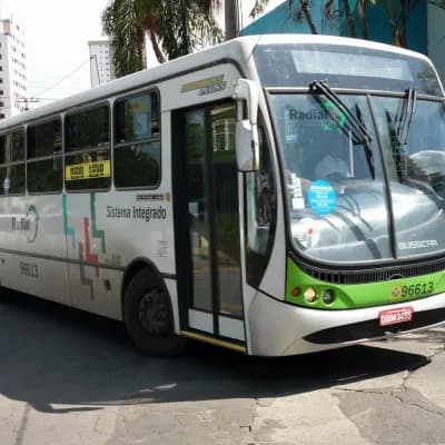 Viação Piracema de Transportes Ltda 96613