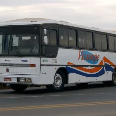 Vicampe Transportes e Turismo 330