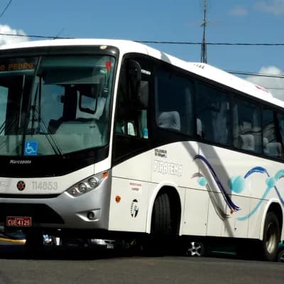 Viação Piracema de Transportes Ltda 114853