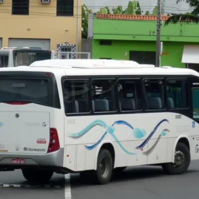 Viação Piracema de Transportes Ltda 114853
