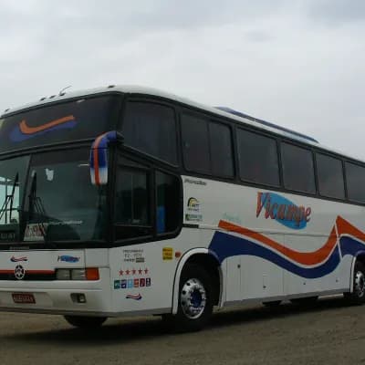 Vicampe Transportes e Turismo 550