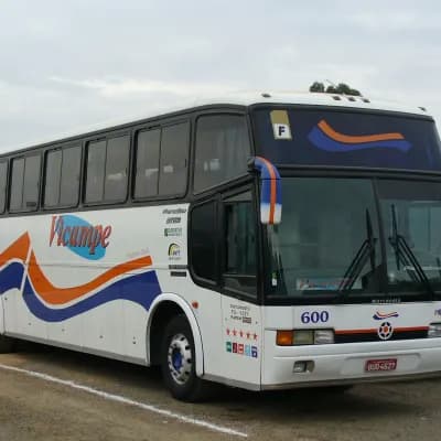 Vicampe Transportes e Turismo 600