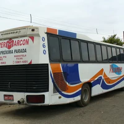 Vicampe Transportes e Turismo 060