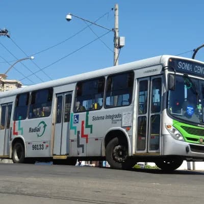 Viação Piracema de Transportes Ltda 96133