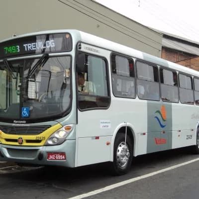 Viação Trevisan e Logística 22439