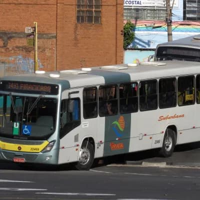 Viação Trevisan e Logística 22469