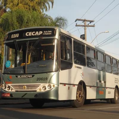 Viação Trevisan e Logística 20619