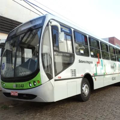 Viação Piracema de Transportes Ltda 81143