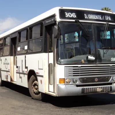 Viação Piracema de Transportes Ltda 5833