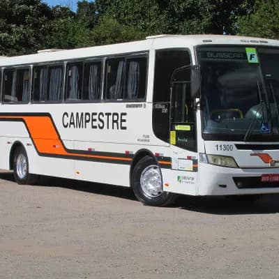 Viação Campestre 11300