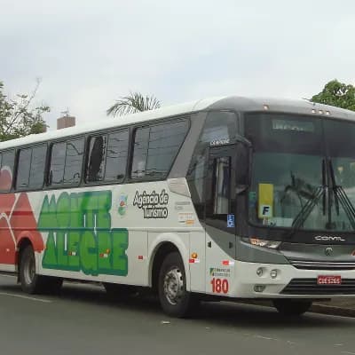 Monte Alegre Turismo 180