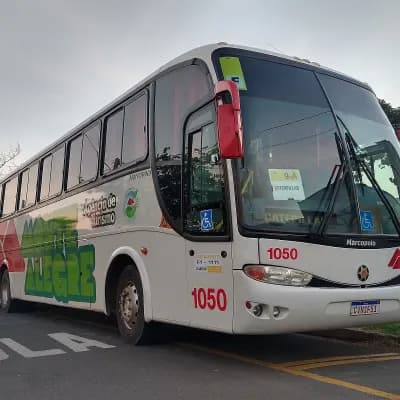 Monte Alegre Turismo 1050