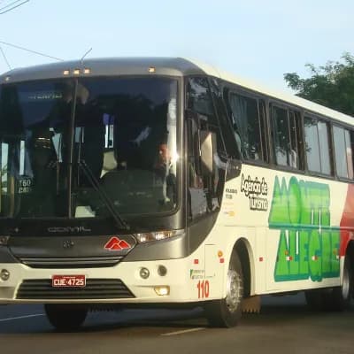 Monte Alegre Turismo 110