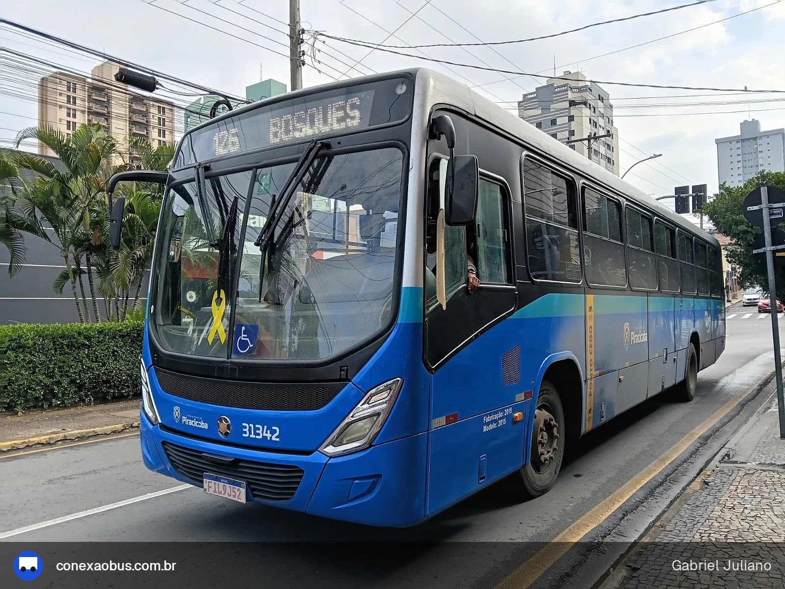 Rápido Sumaré | Pira Mobilidade 31342
