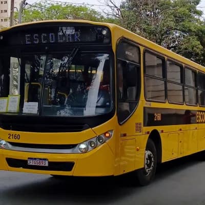 Viação Salire 2160