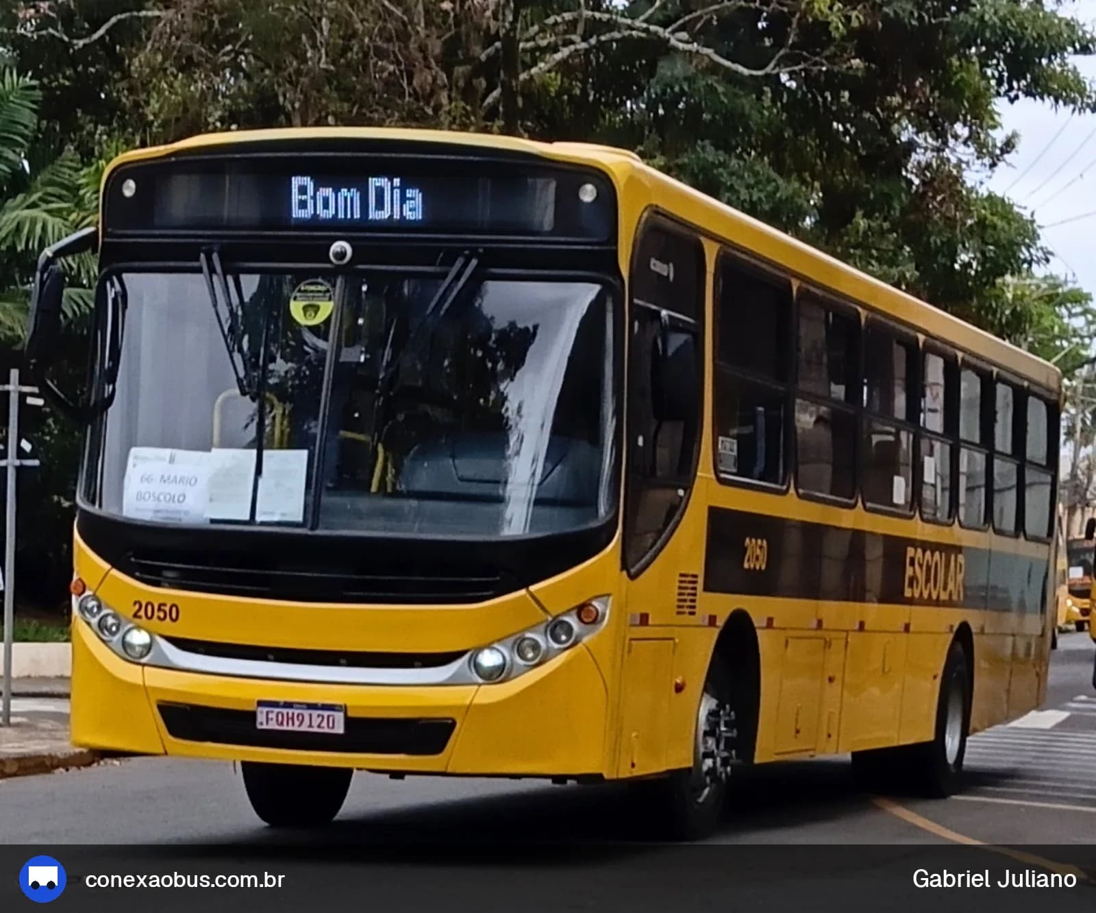 Ônibus CAIO Apache Vip III, da Viação Salire, prefixo 2050, em Piracicaba-SP