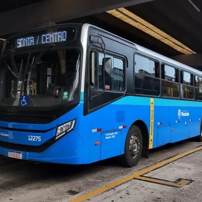 Rápido Sumaré | Pira Mobilidade 12275