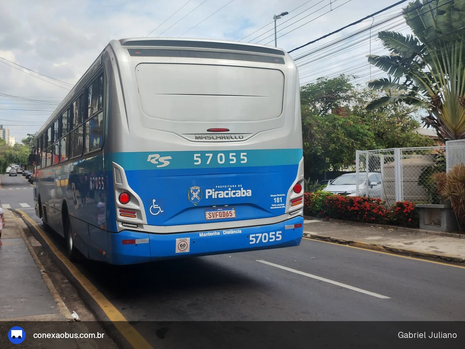 Rápido Sumaré | Pira Mobilidade 57055