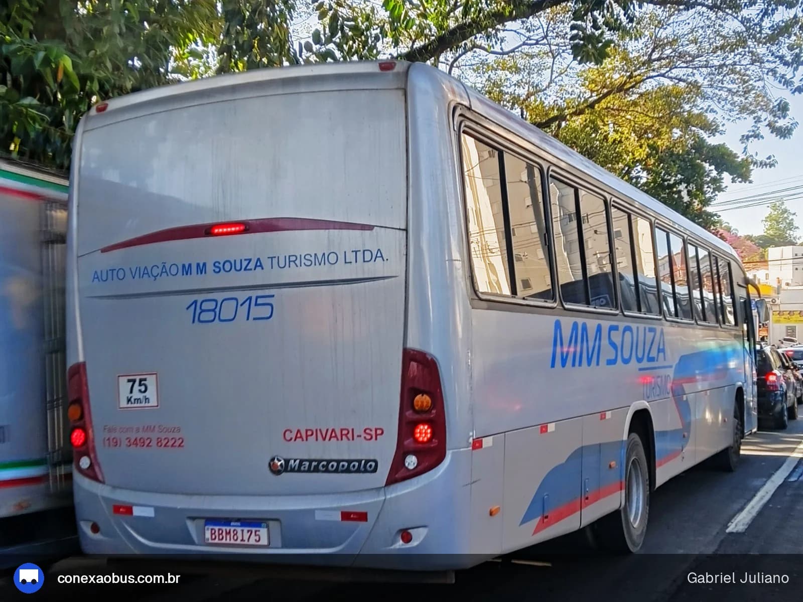 Auto Viação MM SOUZA Turismo 18015
