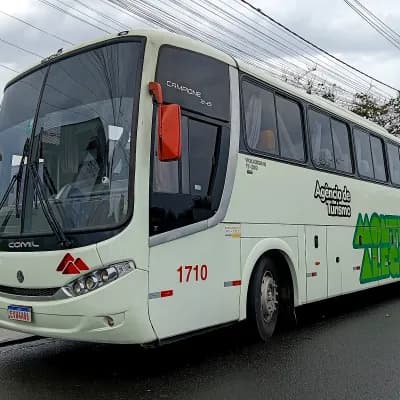 Monte Alegre Turismo 1710