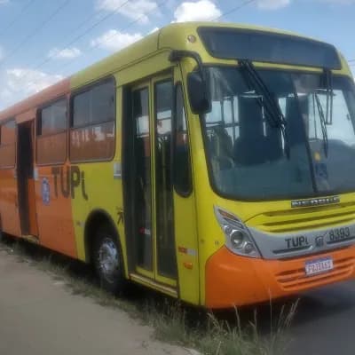 TUPi Transporte Urbano Piracicaba 8393