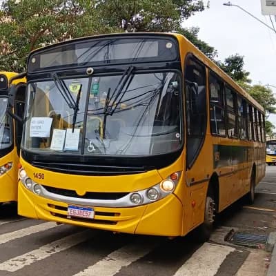 Viação Salire 1450