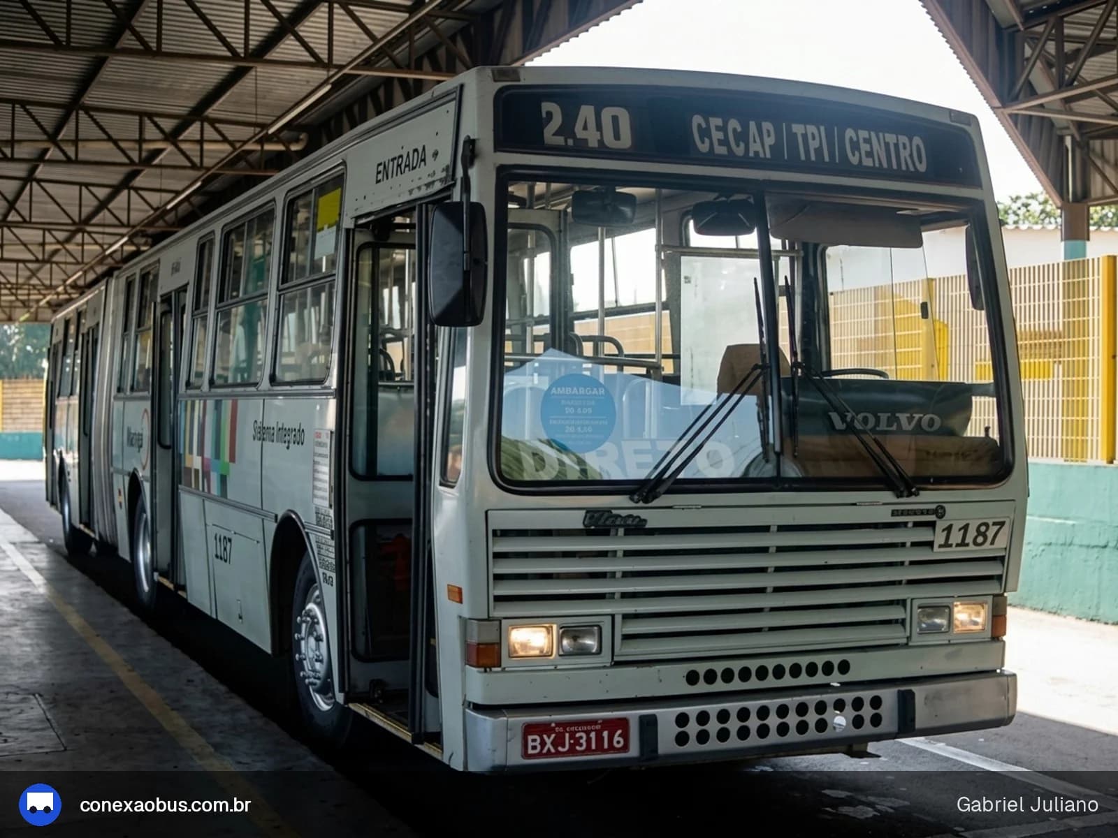 Vinco 1187