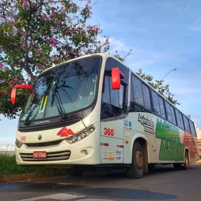 Monte Alegre Turismo 360