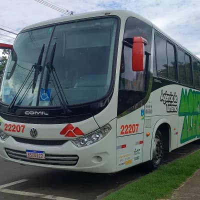 Monte Alegre Turismo 22207