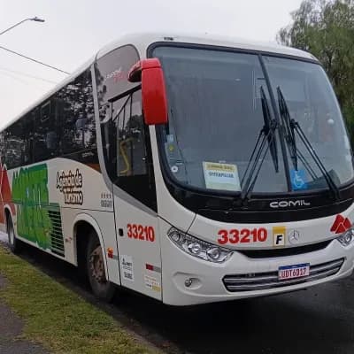 Monte Alegre Turismo 33210