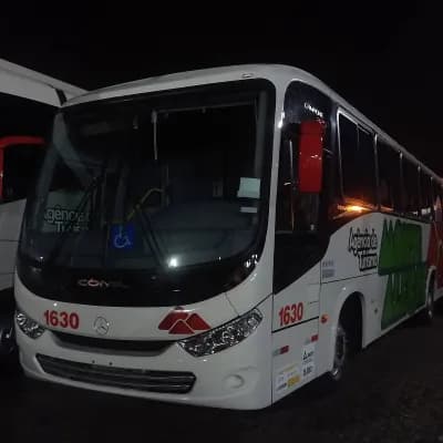Monte Alegre Turismo 1630
