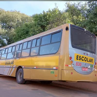 Viação Stênico Ltda 830