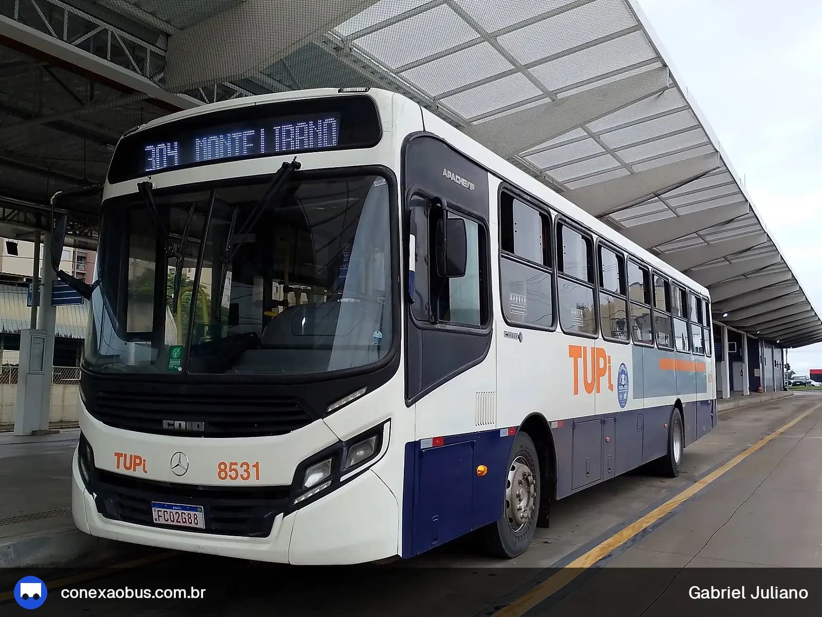 Ônibus CAIO Apache Vip IV, da TUPi | Transporte Urbano Piracicaba, prefixo 8531, em Piracicaba-SP