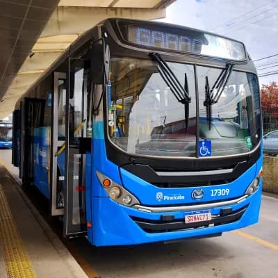 Rápido Sumaré | Pira Mobilidade 17309