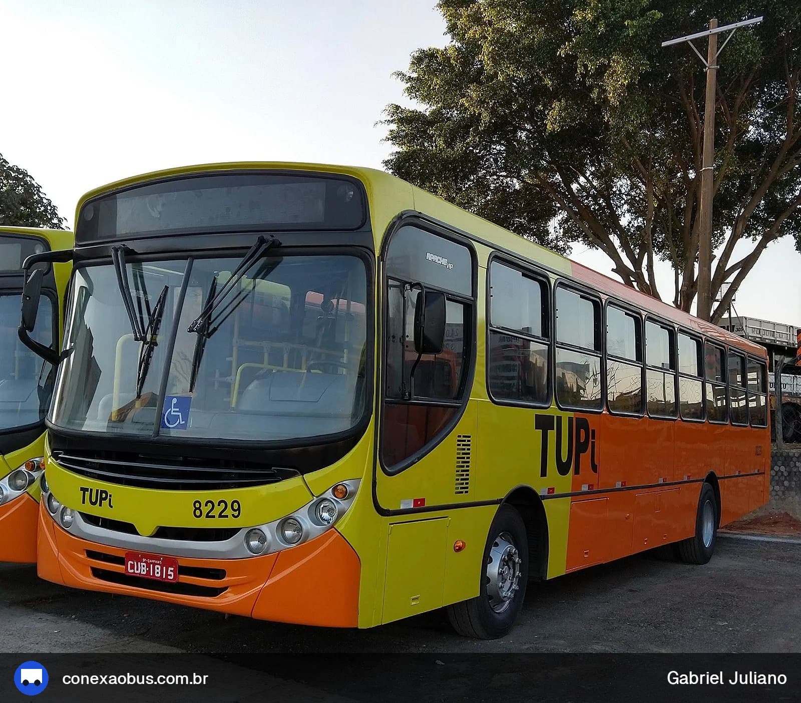 Ônibus CAIO Apache Vip II, da TUPi | Transporte Urbano Piracicaba, prefixo 8229, em Piracicaba-SP