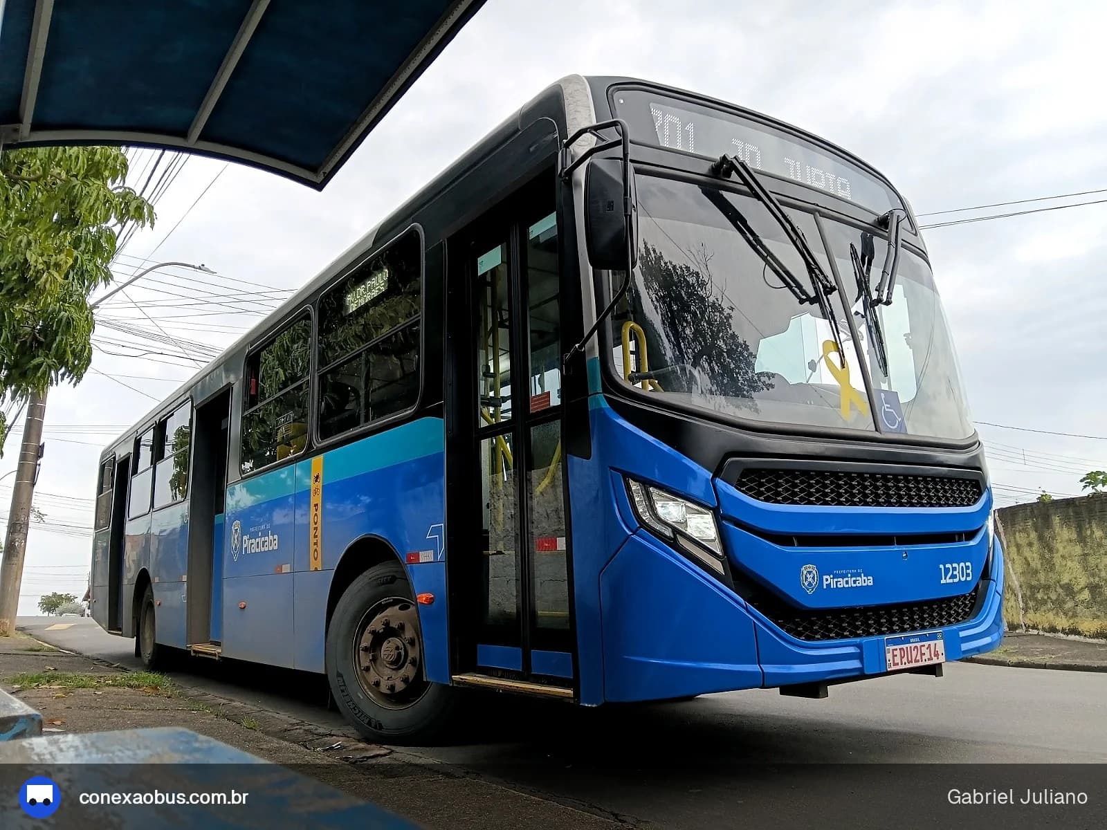 Rápido Sumaré | Pira Mobilidade 12303