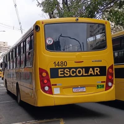 Viação Salire 1480